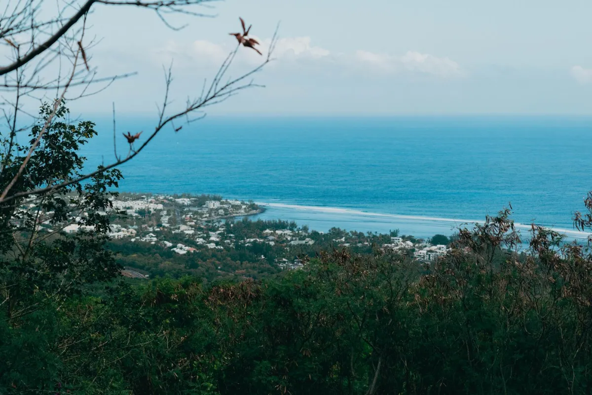 Littoral de La Réunion, dynamisme économique de l’île